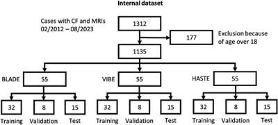 Automated lung segmentation on chest MRI in children with cystic fibrosis